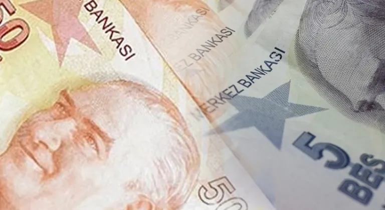 5 ve 50 TL'lik yeni banknotlar piyasada