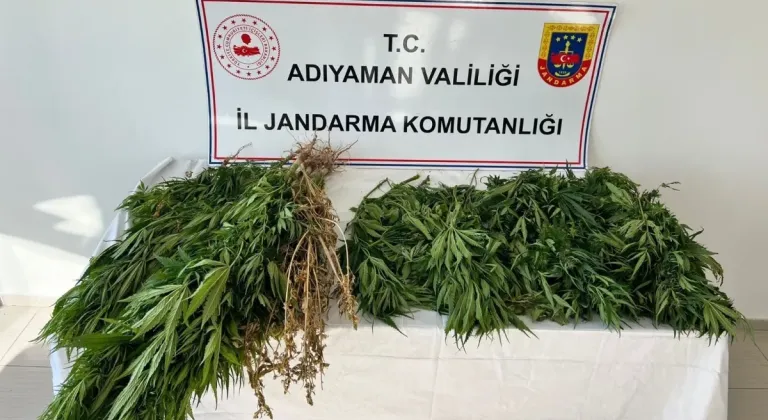 Adıyaman'da kenevire 3 gözaltı