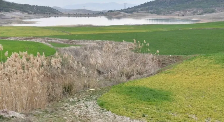 Ankara'dan Tarımsal Sulama Projesine Büyük Destek: İpek Böceği Yetiştiriciliği Artıyor