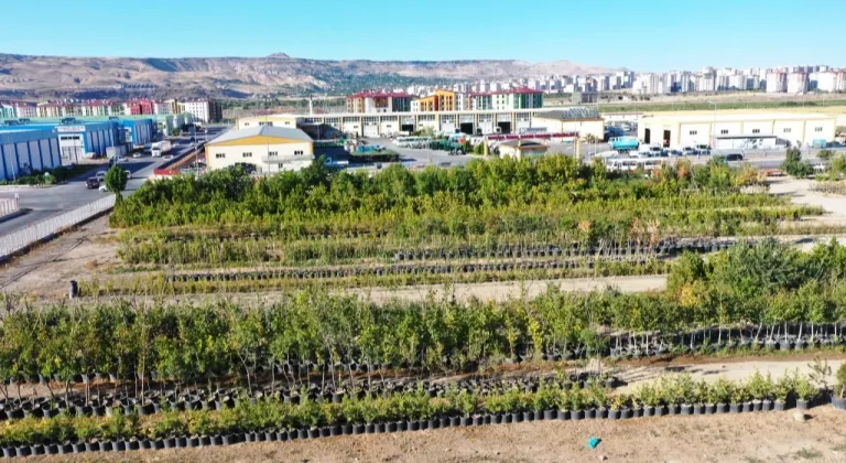 Başkan Çolakbayrakdar, Kayseri'yi Yeşillendirme Çabalarını Sürdürüyor