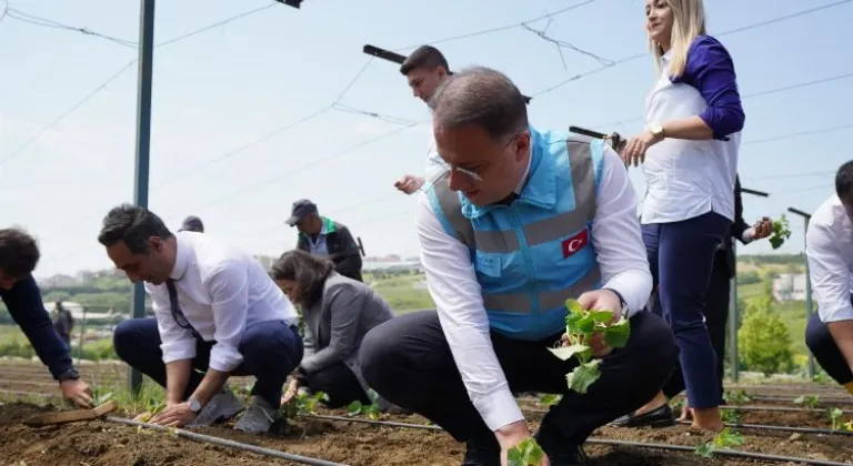 Beylikdüzü'nde yazlık fideler toprakla buluştu