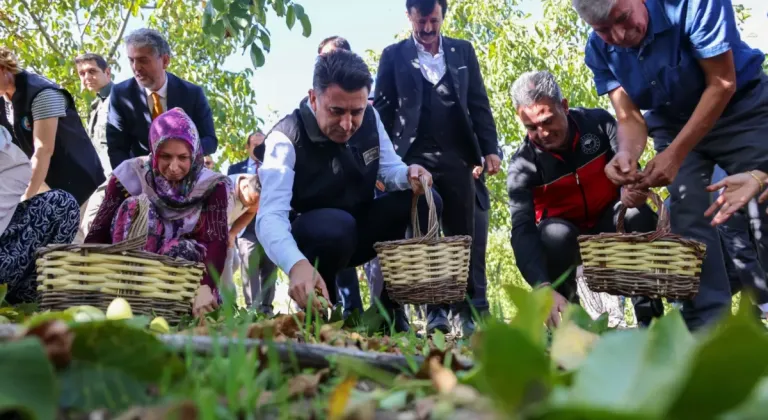 Bilecik ceviz üretiminde Türkiye 3’üncüsü