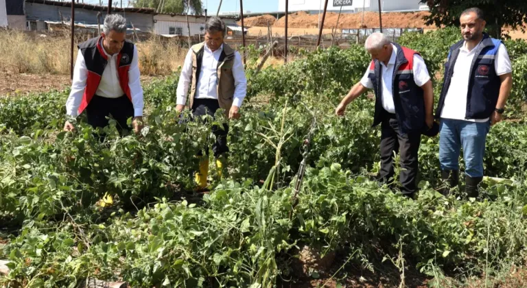 Bilecik Pazaryeri'nde yağıştan zarar gören arazilere yakın mercek