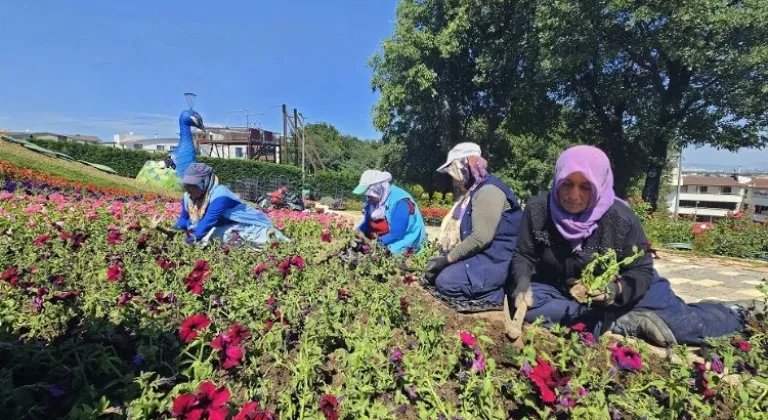 Bursa Osmangazi çiçek açıyor