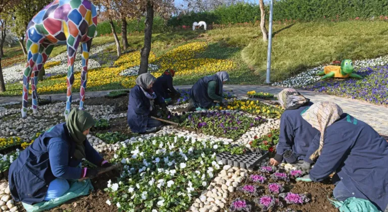 Bursa Osmangazi'de Kış Mevsimine Renk Katacak Muhteşem Çiçek Ekimi