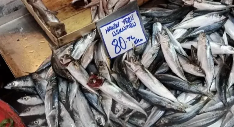 Bursa Tuz Pazarı’nda balık sezonu yoğunluğu başladı