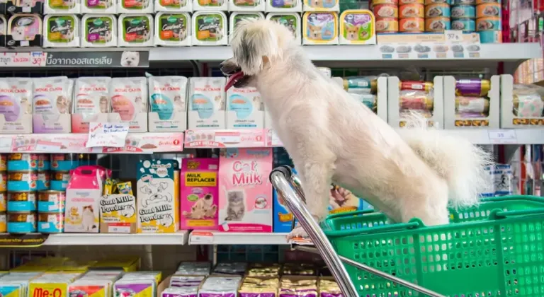 Bursa'da İzinsiz Petshoplara Sıkı Denetim: İş Yerlerine 1 Milyon TL'den Fazla Cezai Yaptırım