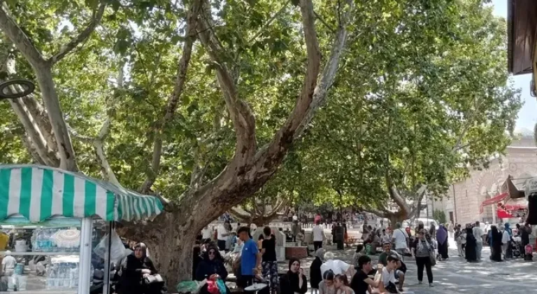 Bursalılar, Çınar Ağaçlarının Gölgesinde Serinliğin Tadını Çıkarıyor