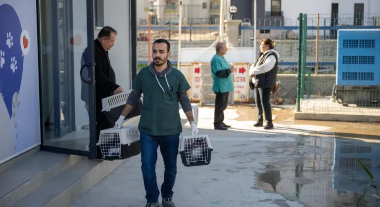 Büyükşehir'den Patili Dostlara Destek: Kedi Kısırlaştırma Merkezi Açıldı