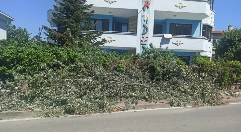 Çamlıca Mahallesi'nde Kaldırıma Atılan Ağaçlar Trafiği Tehlikeye Sokuyor