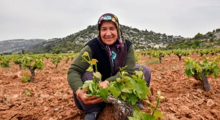 Çiftçinin yüzü organikle gülüyor