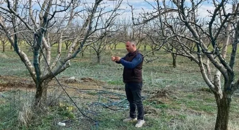 Devlet Destekli Tarım Sigortalarında %115,5 Oranında Büyük Artış