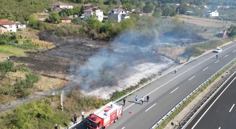 Düzce'de anız yangını! Fındık arazisi zarar gördü!