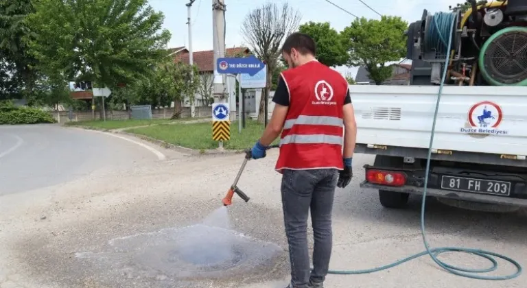 Düzce'de ilaçlama çalışmaları devam ediyor