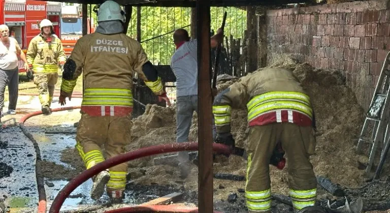 Düzce'de Otluoğlu Köyü'nde Ahır Yangını! 2 Hayvan Telef Oldu