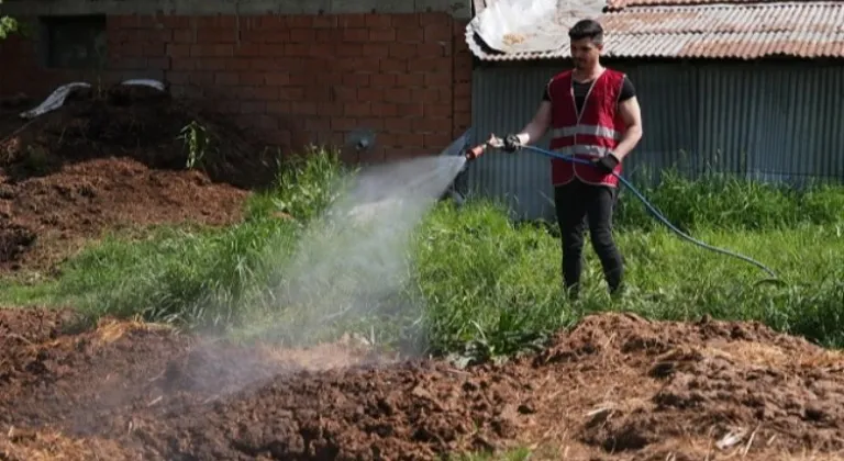 Düzce'de Sivrisinek ve Karasinek İlaçlama Çalışmaları Hız Kesmeden Devam Ediyor