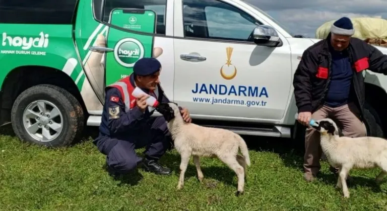 Edirne Jandarması Hayvan Sağlığı İçin Uyarıda Bulundu