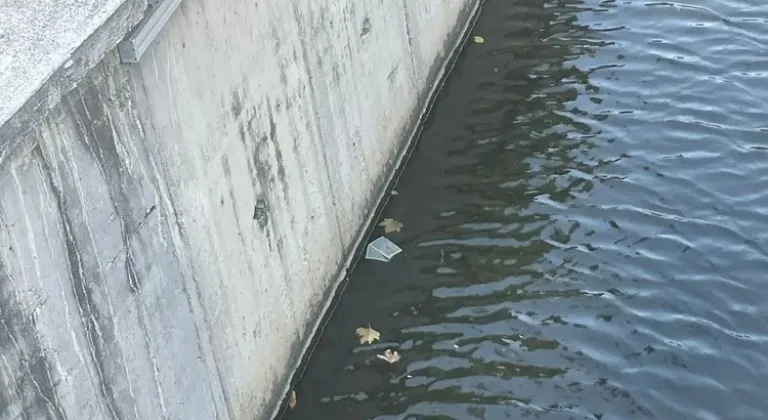 Gemlik dere bakımsızlığı sağlık sorunlarına davetiye çıkarıyor