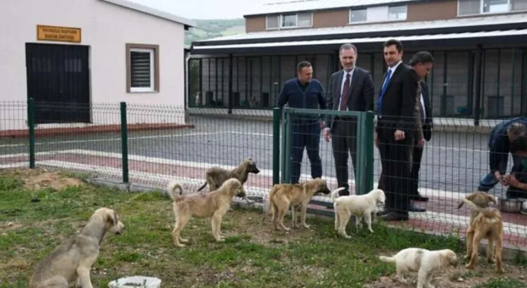 Hayvanları Koruma Kanunu Değişiyor: İşte Yeni Düzenlemeler!