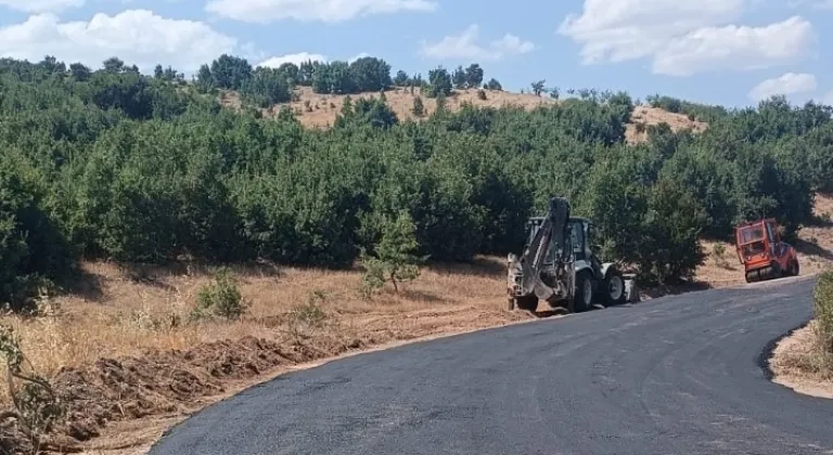 Hekimhan’da yol çalışmaları devam ediyor