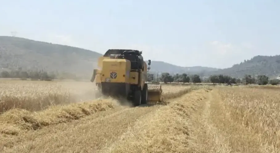 Manşet Resmi