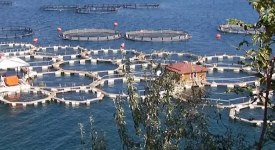 Manşet Resmi