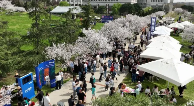 İstanbul'da Sakura Festivali Sabancı Üniversitesi'ni Renklendirdi