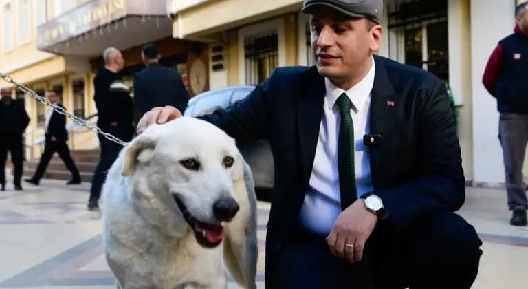 İzmir Bornova Belediye Başkanı, 7527 Sayılı Kanun Protestosuyla Sokak Köpeğini Sahiplendi