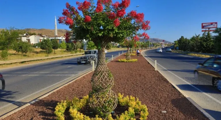 İzmir Güzelbahçe'de Oya Ağaçları Renkleniyor