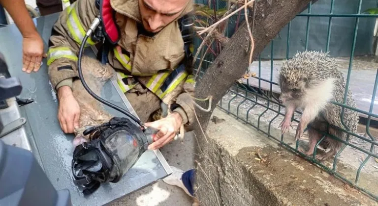 İzmir İtfaiyesi'nden Yürekleri Isıtan Kurtarma Operasyonları