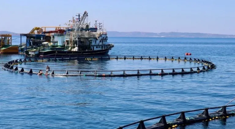 İzmir Orkinos Çiftlikleri: Türkiye’nin Orkinos Yetiştiriciliği Dünya Piyasasında Yankı Buluyor