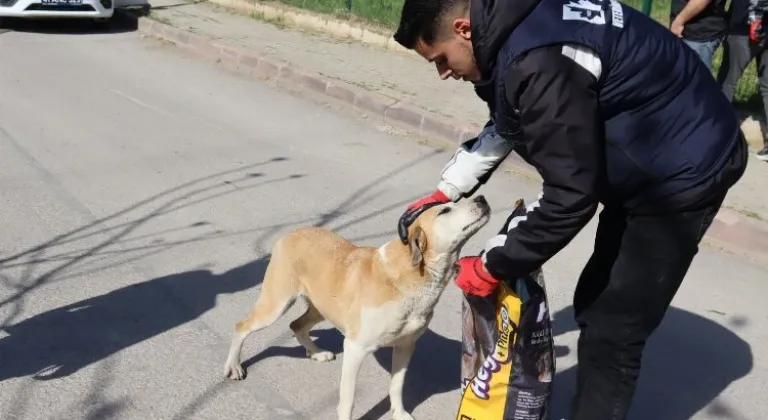 İzmit Belediyesi Sokaktaki Dostlarını Unutmadı