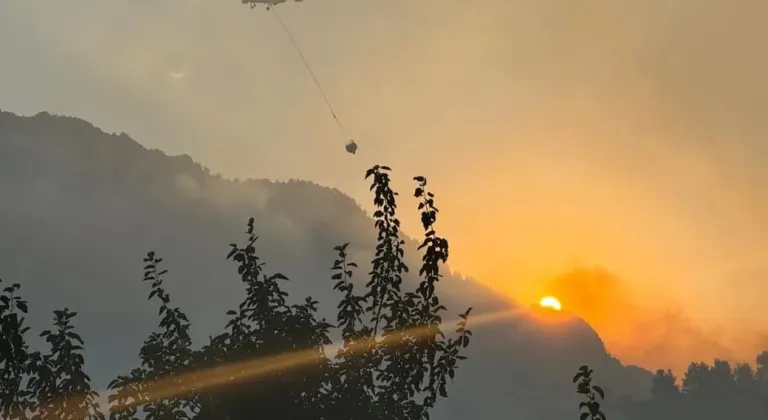 Kahramanmaraş'ta korkutan orman yangını hızla kontrol altına alındı