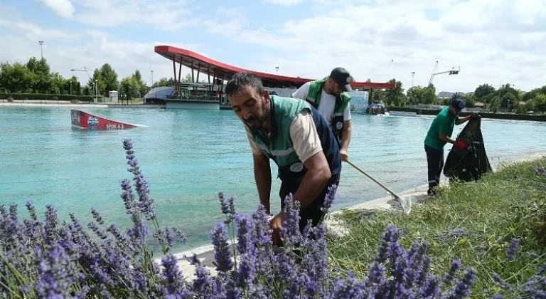 Kayseri Büyükşehir Belediyesi, 160 Bin Lavantanın Hasadına Başladı