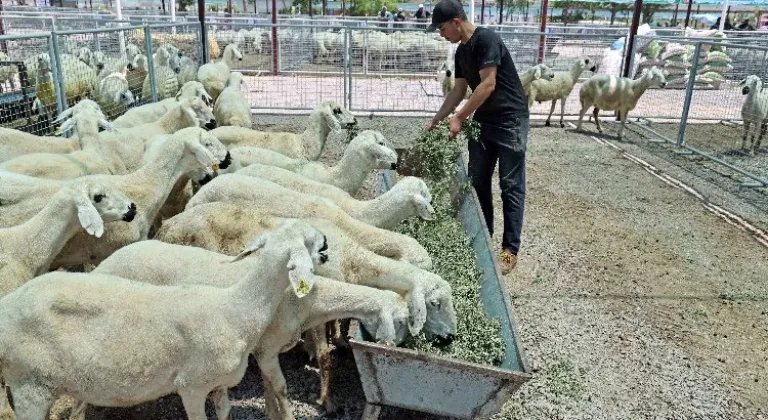 “Kayseri'de bir numara Talas Belediyesi”