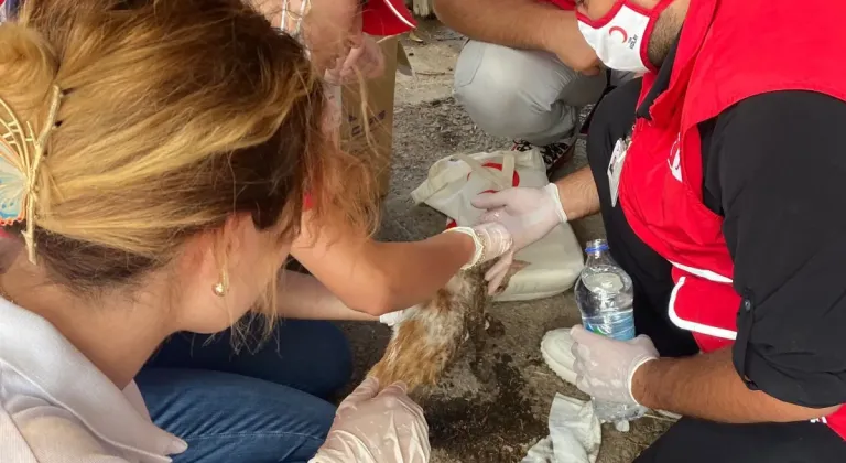 Kızılay Konak Şubesi'nden yangın seferberliği