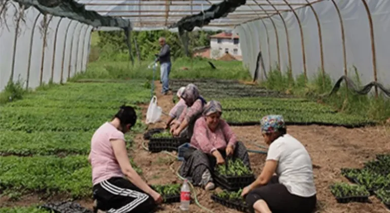 Kocaeli Büyükşehir Belediyesi Tarım Desteği Başvuruları Başladı