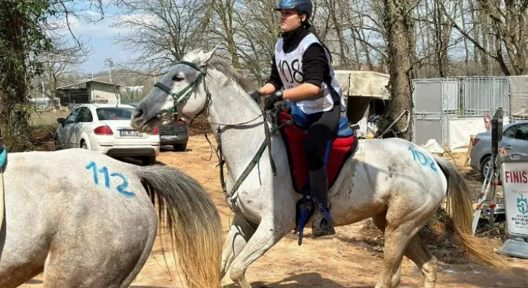 Kocaeli'de Atletizmin Zirvesi: En Dayanıklı Atlar 120 km’lik Parkurda Yarıştı