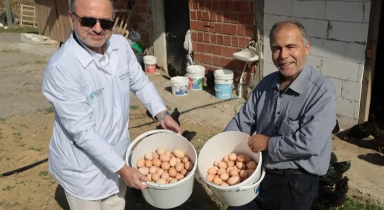 Kocaeli'de Çiftçilere Yüzde 50 Hibeli Yerli Tavuk Desteği Verilecek