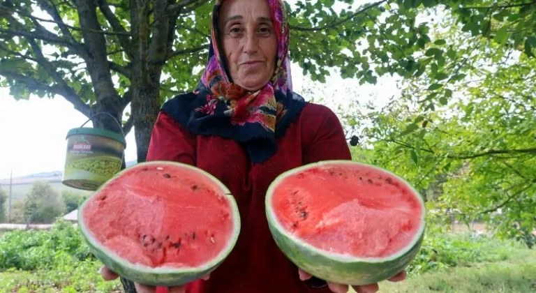 Kocaeli'de Karpuz Tohumu Dağıtımı Üreticilere Başladı