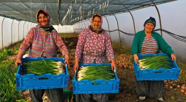 Kocaeli’de Tarıma Yüzde 50 Destek: Modern Sera Desteği