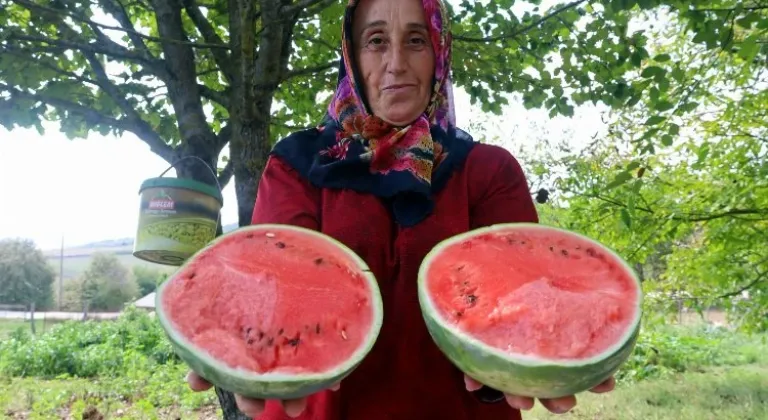 Kocaeli'de Tarımsal Dönüşüm: Hibeli Karpuz Tohumu Desteği Başladı