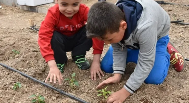 Konya Karatay'da Hobi Bahçeleri İçin Kayıtlar Başladı: Detaylar ve Başvuru Süreci