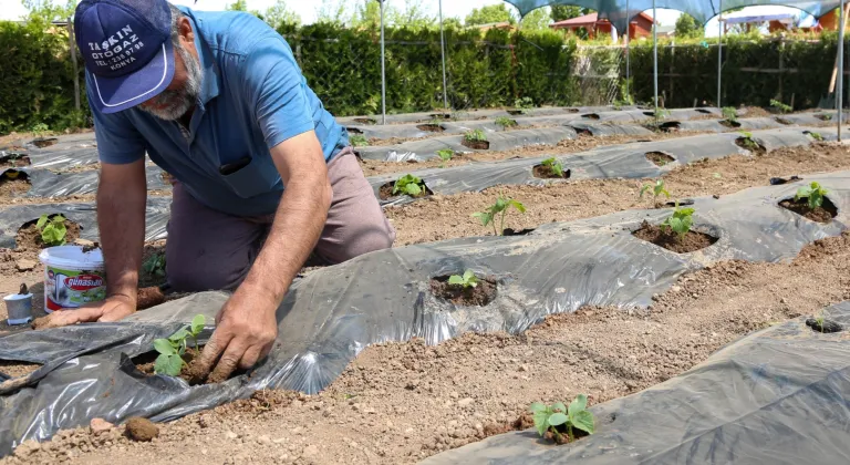 Konya Meram Belediyesi'nden Hobi Bahçeleri İçin Başvurular 15 Ocak'ta Başlıyor