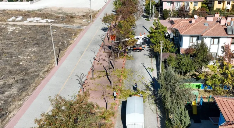 Konya Selçuklu'da ağaçlar budanıyor... Atıklar kompost gübreye dönüştürülüyor