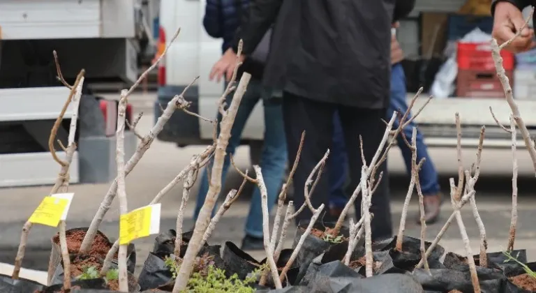 Konya'da Kırsal Kalkınma İçin Antep Fıstığı Destekleniyor