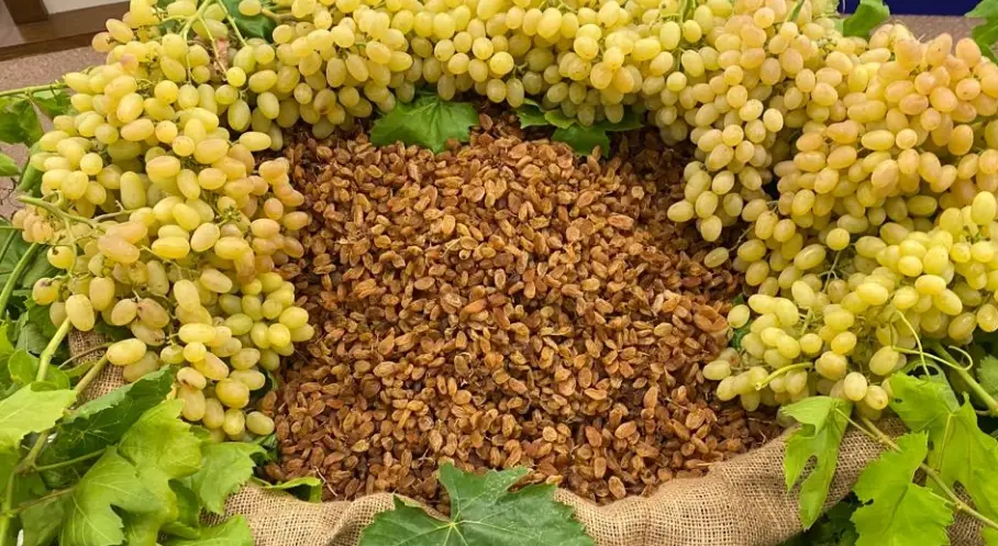 Manşet Resmi