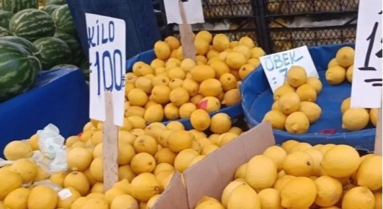 Limon Üreticileri Fahiş Fiyatlarla Mağdur, CHP Keşan İlçe Başkanı Eleştirdi