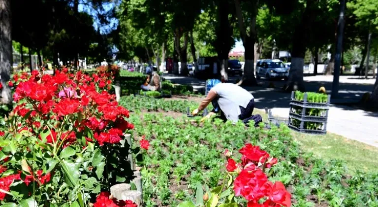 Malatya'da peyzaj çalışmaları