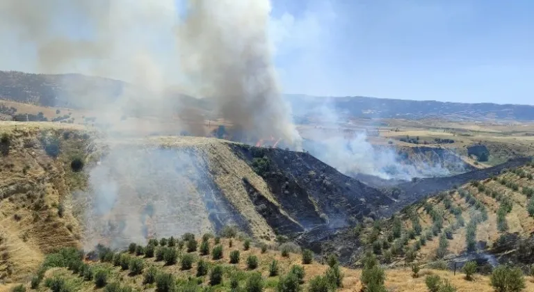 Manisa Alaşehir'de korkutan yangın kontrol altına alındı